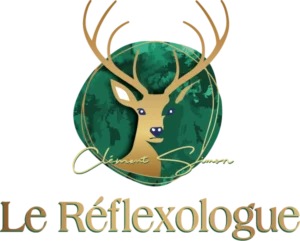 Le Reflexo LOGO 300x241