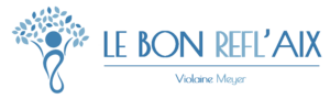 LeBonReflaixBleuClair 1 300x100