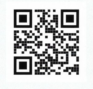 QR code site internet 300x287