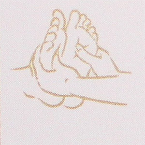 delphineleroux logo