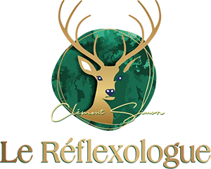Le Reflexo LOGO
