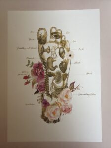 image 1 225x300